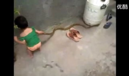 奸尸视频