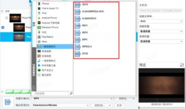 视频格式有哪几种