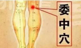 扣穴视频,传统养生秘法一网打尽