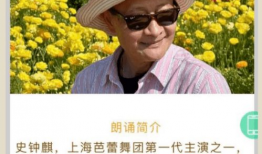 青草视频免费,免费畅享，解锁无限精彩瞬间